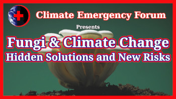 Who Decides: The Battle Over Geoengineering the Arctic thumbnail with link