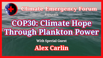 Cities and the Climate Emergency thumbnail with link